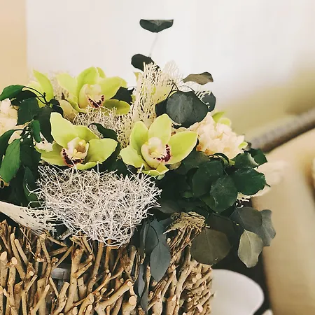 Park Brasilia 4* Lido di Jesolo